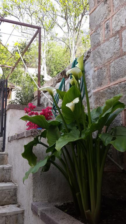 Apartment Stern Perast Exterior photo
